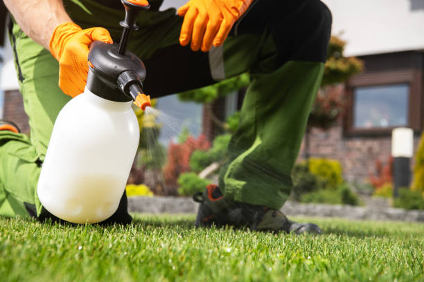 Professional Pest Control in Avalon, NJ